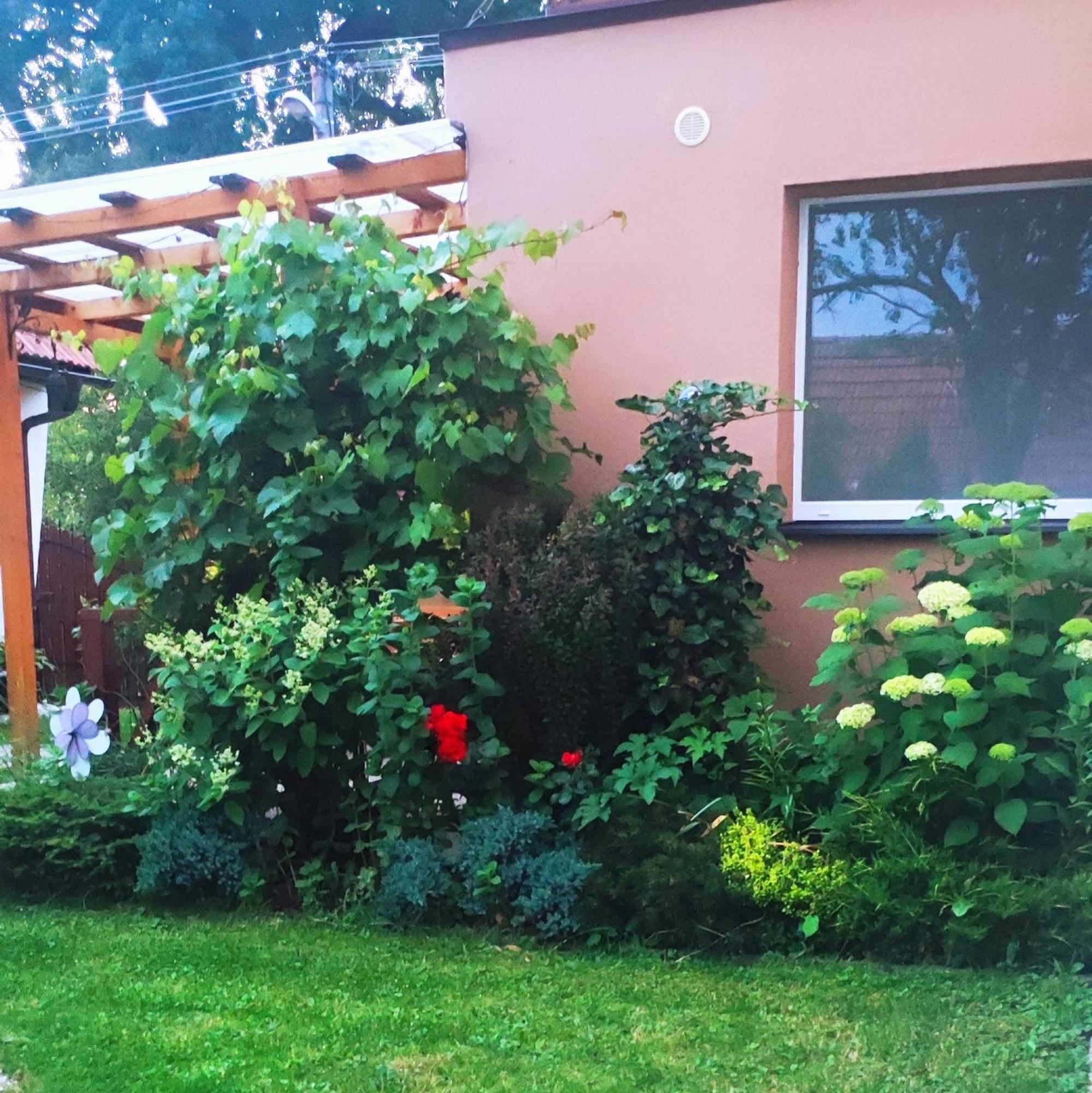 Voyage - Private Near The Demanovska Valley Liptovsky Mikulas Exterior photo